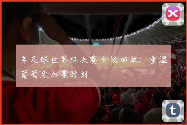 年足球世界杯决赛全场回放：重温葡萄牙加冕时刻